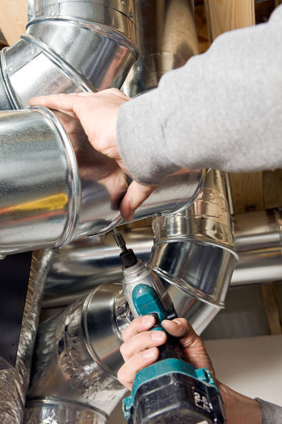 Low Quality Orv51lybpt